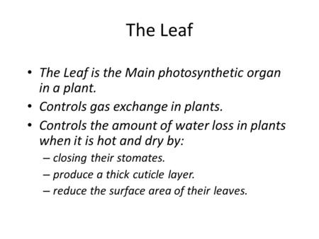 The Leaf The Leaf is the Main photosynthetic organ in a plant. Controls gas exchange in plants. Controls the amount of water loss in plants when it is.