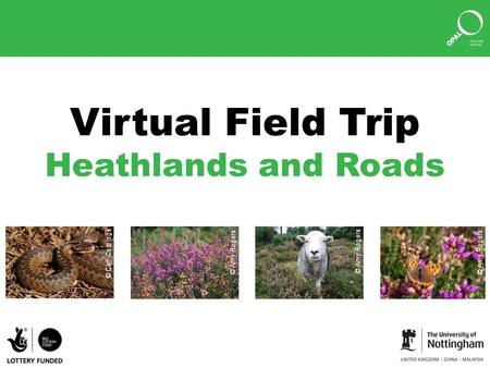 Virtual Field Trip Heathlands and Roads © Amy Rogers © Carl Corbidge.