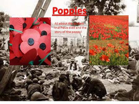 All about the solders that have died and the story of the poppy!