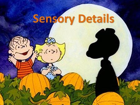 Sensory Details. What are Sensory Details? Sensory details: details that you can observe through your senses – Sights/visual details – Sounds – Smells.