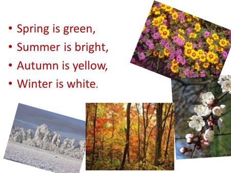 Spring is green, Summer is bright, Autumn is yellow, Winter is white.