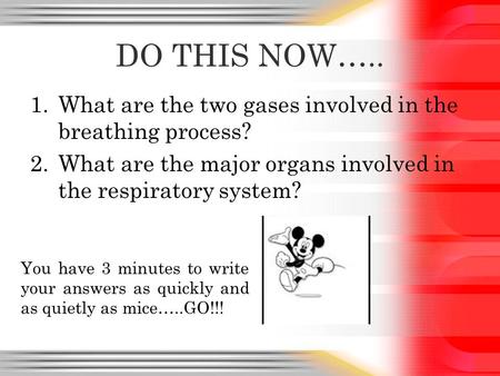 DO THIS NOW….. 1.What are the two gases involved in the breathing process? 2.What are the major organs involved in the respiratory system? You have 3 minutes.