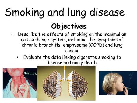 Smoking and lung disease Objectives Describe the effects of smoking on the mammalian gas exchange system, including the symptoms of chronic bronchitis,