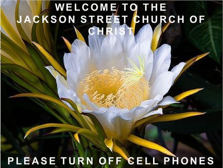 WELCOME TO THE JACKSON STREET CHURCH OF CHRIST PLEASE TURN OFF CELL PHONES.