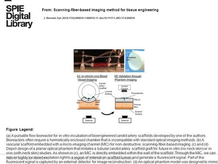 Date of download: 9/19/2016 Copyright © 2016 SPIE. All rights reserved. (a) A pulsatile flow bioreactor for in vitro incubation of bioengineered carotid.