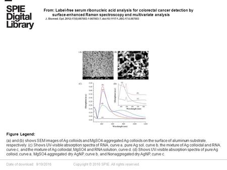 Date of download: 9/19/2016 Copyright © 2016 SPIE. All rights reserved. (a) and (b) shows SEM images of Ag colloids and MgSO4-aggregated Ag colloids on.