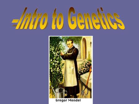 Is the scientific study of heredity Heredity: characteristic that can be passed from parent to offspring –Ex: Height, eye color… Founding father: Gregor.