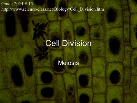 Cell Division Meiosis Grade 7; GLE 15