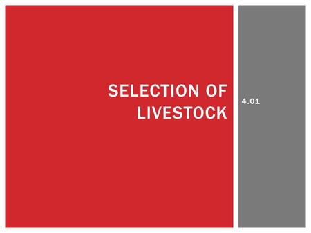 4.01 SELECTION OF LIVESTOCK.  Livestock producers use visual observations to:  Select breeding cattle or swine based on conformation, breed character,