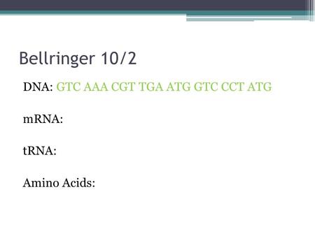 Bellringer 10/2 DNA: GTC AAA CGT TGA ATG GTC CCT ATG mRNA: tRNA: Amino Acids: