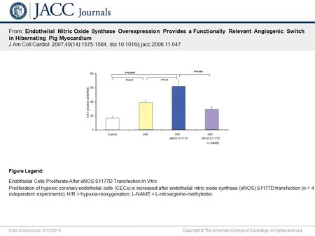 Date of download: 9/19/2016 Copyright © The American College of Cardiology. All rights reserved. From: Endothelial Nitric Oxide Synthase Overexpression.