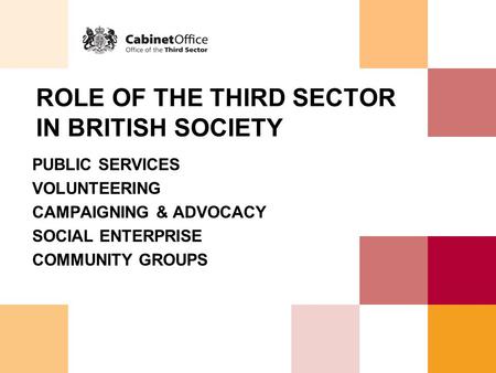 ROLE OF THE THIRD SECTOR IN BRITISH SOCIETY PUBLIC SERVICES VOLUNTEERING CAMPAIGNING & ADVOCACY SOCIAL ENTERPRISE COMMUNITY GROUPS.