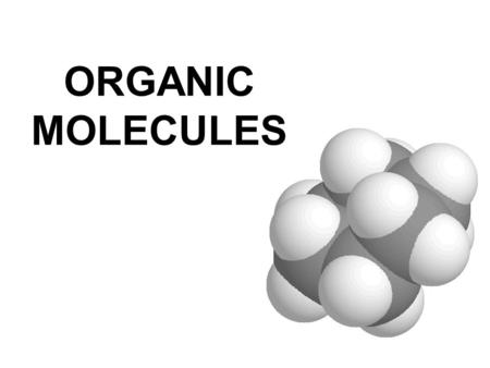 ORGANIC MOLECULES. What nutrients do you need? What does organic mean at the grocery store?