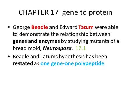 CHAPTER 17 gene to protein George Beadle and Edward Tatum were able to demonstrate the relationship between genes and enzymes by studying mutants of a.