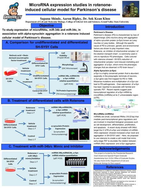 Sapana Shinde, Aaron Ripley, Dr. Sok Kean Khoo MicroRNA expression studies in rotenone- induced cellular model for Parkinson’s disease Department of Cell.