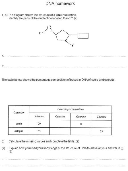 DNA homework 1, a) The diagram shows the structure of a DNA nucleotide. Identify the parts of the nucleotide labelled X and Y. (2) X…………………………………………………………………………………………………………………