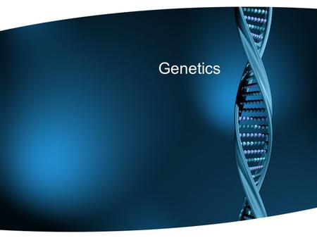 Genetics. DNA (Deoxyribonucleic Acid) DNA: stores and passes on genetic information from one generation to the next James Watson and Francis crick discovered.