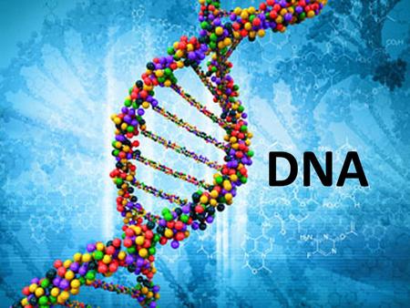 DNA. A Snapshot of DNA DNA from a few Angles Cell: Every cell contains a nucleus which is filled with the directions for cell function, DNA. Chromosome: