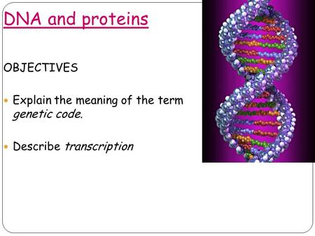 DNA and proteins OBJECTIVES Explain the meaning of the term genetic code. Describe transcription.