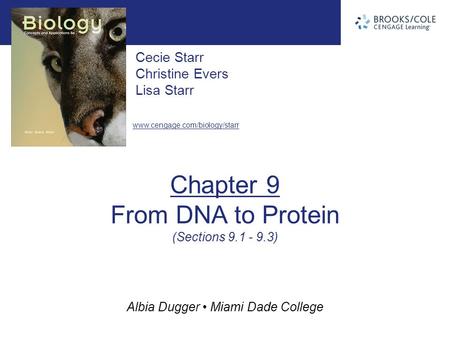 Albia Dugger Miami Dade College Cecie Starr Christine Evers Lisa Starr  Chapter 9 From DNA to Protein (Sections 9.1 - 9.3)