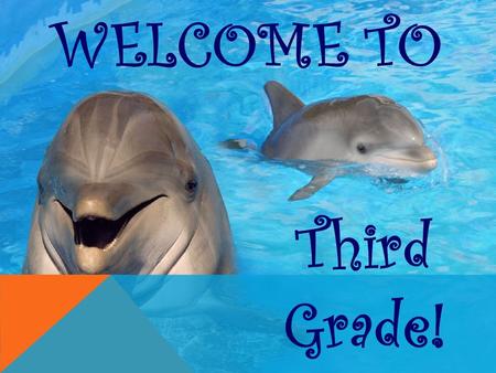 WELCOME TO Third Grade!. THIRD GRADE CURRICULUM 3 RD GRADE READERS CAN… Use schema and background knowledge Ask questions when reading Use text to visualize.