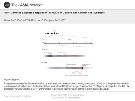 Date of download: 9/19/2016 Copyright © 2016 American Medical Association. All rights reserved. From: Germline Epigenetic Regulation of KILLIN in Cowden.