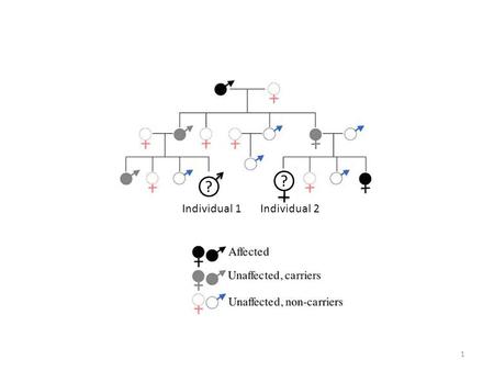 ? ? Individual 1Individual 2 1. Questions This is a pedigree for a disease involving a mutation within an imprinted gene. The disease manifests only when.