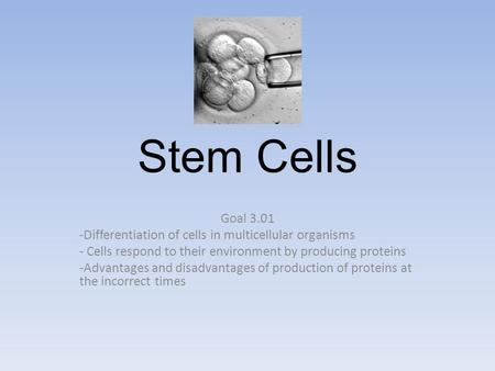 Stem Cells Goal 3.01 -Differentiation of cells in multicellular organisms - Cells respond to their environment by producing proteins -Advantages and disadvantages.