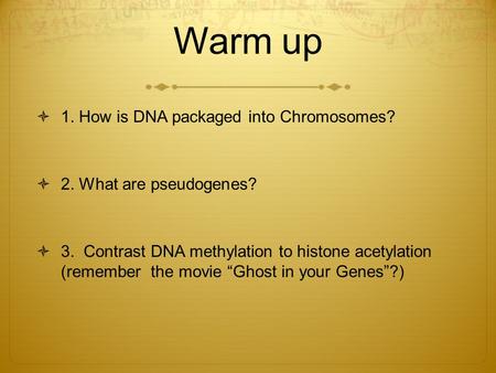 Warm up  1. How is DNA packaged into Chromosomes?  2. What are pseudogenes?  3. Contrast DNA methylation to histone acetylation (remember the movie.