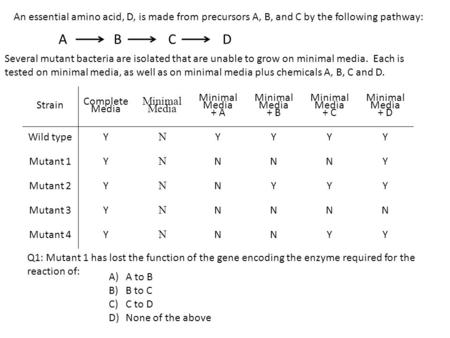 ABCD An essential amino acid, D, is made from precursors A, B, and C by the following pathway: Several mutant bacteria are isolated that are unable to.