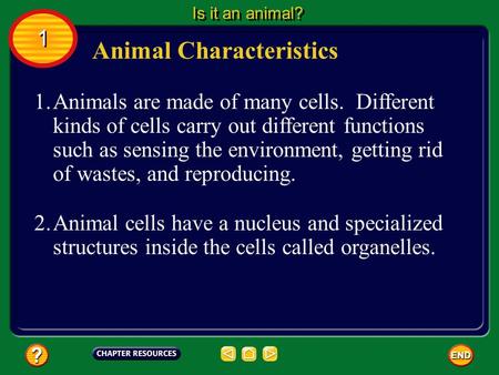 1.Animals are made of many cells. Different kinds of cells carry out different functions such as sensing the environment, getting rid of wastes, and reproducing.