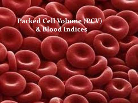 Packed Cell Volume (PCV)