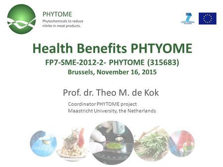 Health Benefits PHTYOME FP7-SME-2012-2- PHYTOME (315683) Brussels, November 16, 2015 Prof. dr. Theo M. de Kok Coordinator PHYTOME project Maastricht University,