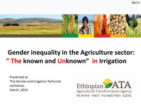 Gender inequality in the Agriculture sector: “ The known and Unknown” in Irrigation Presented at The Gender and Irrigation Technical workshop, March,2016.