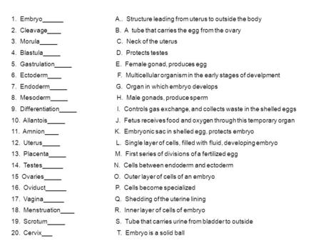 1. Embryo______ A.. Structure leading from uterus to outside the body 2. Cleavage____ B. A tube that carries the egg from the ovary 3. Morula_____ C. Neck.