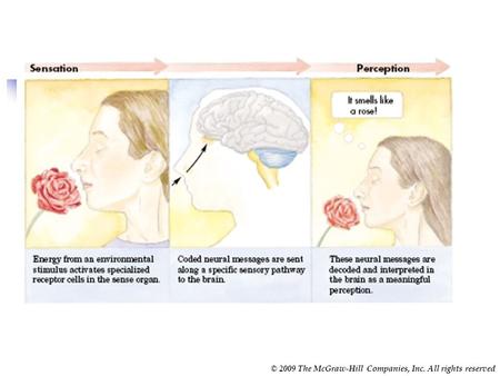 © 2009 The McGraw-Hill Companies, Inc. All rights reserved.