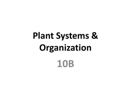 Plant Systems & Organization 10B. Specialized Cells Guard Cells Stomata.