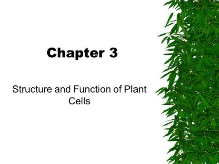 Chapter 3 Structure and Function of Plant Cells. Scales of Microscopic Observation Sizes either metric or as magnifications mag = nx The human eye is.