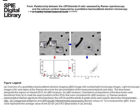 Date of download: 9/19/2016 Copyright © 2016 SPIE. All rights reserved. (a) Overview of a quantitative backscattered electron imaging (qBEI) image with.