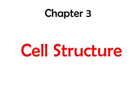 Chapter 3 Cell Structure. Microscopes Light Microscope Electron Microscope.