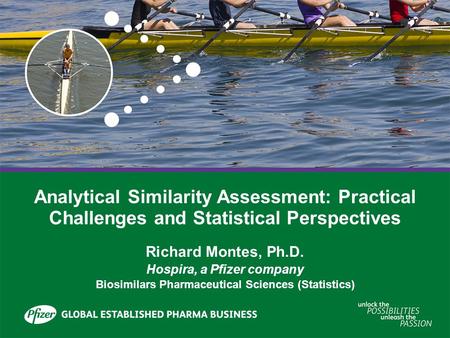 Analytical Similarity Assessment: Practical Challenges and Statistical Perspectives Richard Montes, Ph.D. Hospira, a Pfizer company Biosimilars Pharmaceutical.