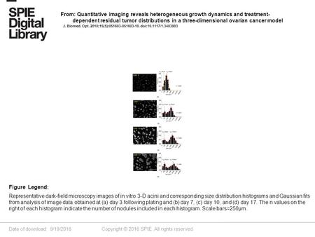 Date of download: 9/19/2016 Copyright © 2016 SPIE. All rights reserved. Representative dark-field microscopy images of in vitro 3-D acini and corresponding.