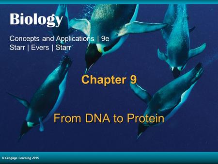 © Cengage Learning 2015 Biology Concepts and Applications | 9e Starr | Evers | Starr © Cengage Learning 2015 Chapter 9 From DNA to Protein.