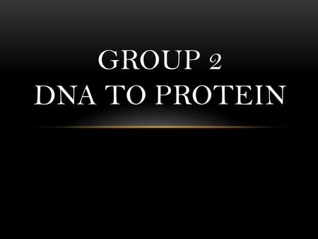 GROUP 2 DNA TO PROTEIN. 9.1 RICIN AND YOUR RIBOSOMES.