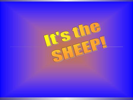 Vocabulary  Ewe – Female Sheep  Ram – Male Sheep used for breeding  Wether – Castrated male sheep.