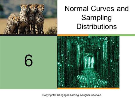 Copyright © Cengage Learning. All rights reserved. Normal Curves and Sampling Distributions 6.