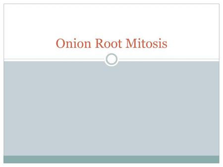 Onion Root Mitosis. Background In plants, the roots grow as they search for water and nutrients. These regions of growth are good for studying the cell.