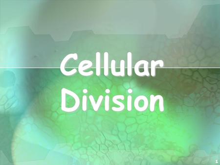 1 Cellular Division. 2 I. Cell Division All cells are derived from pre- existing cells All cells are derived from pre- existing cells New cells are produced.