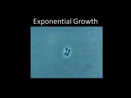 Exponential Growth.