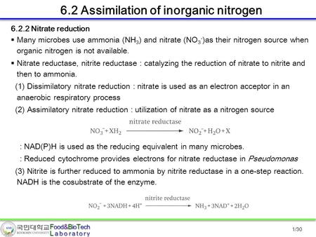 1/30 6.2 Assimilation of inorganic nitrogen  Many microbes use ammonia (NH 3 ) and nitrate (NO 3 - )as their nitrogen source when organic nitrogen is.